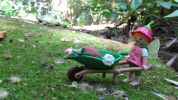 Mayo2C_mes_de_las_flores_-_gretell.jpg